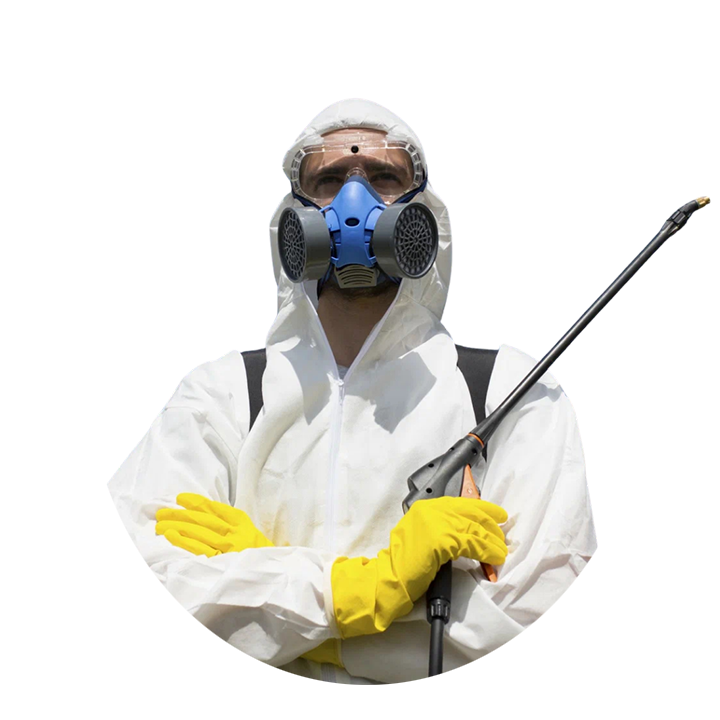 Ankara Böcek İlaçlama